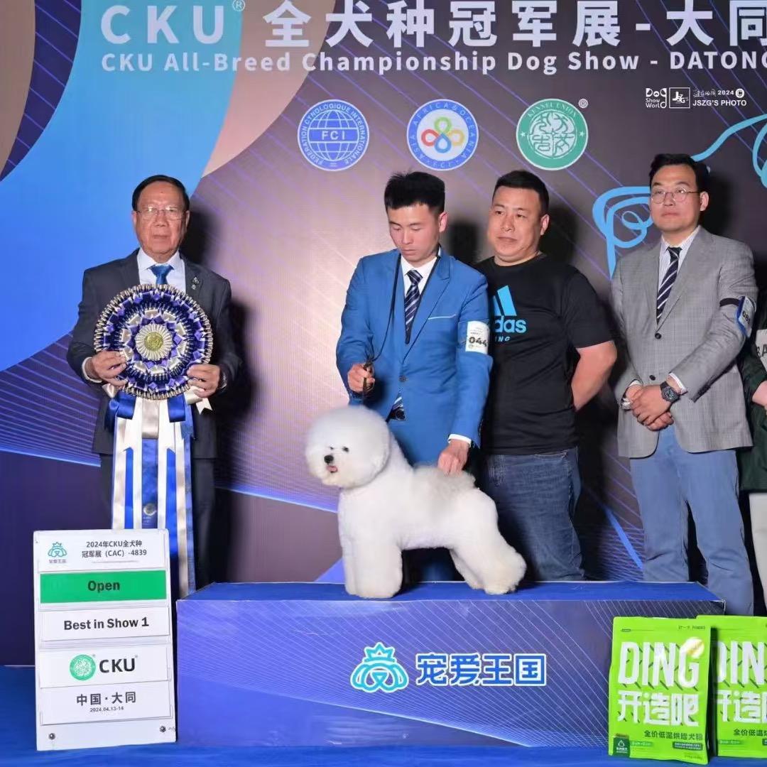 三一比熊犬舍
