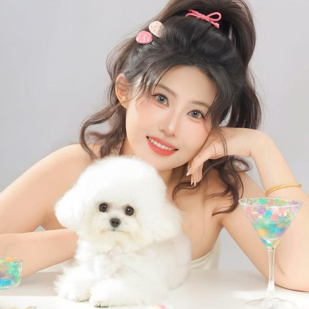 粘豆包的比熊