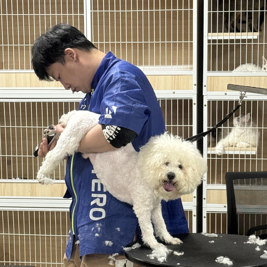 搞猫啊土狗