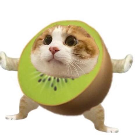 圆圆0v0