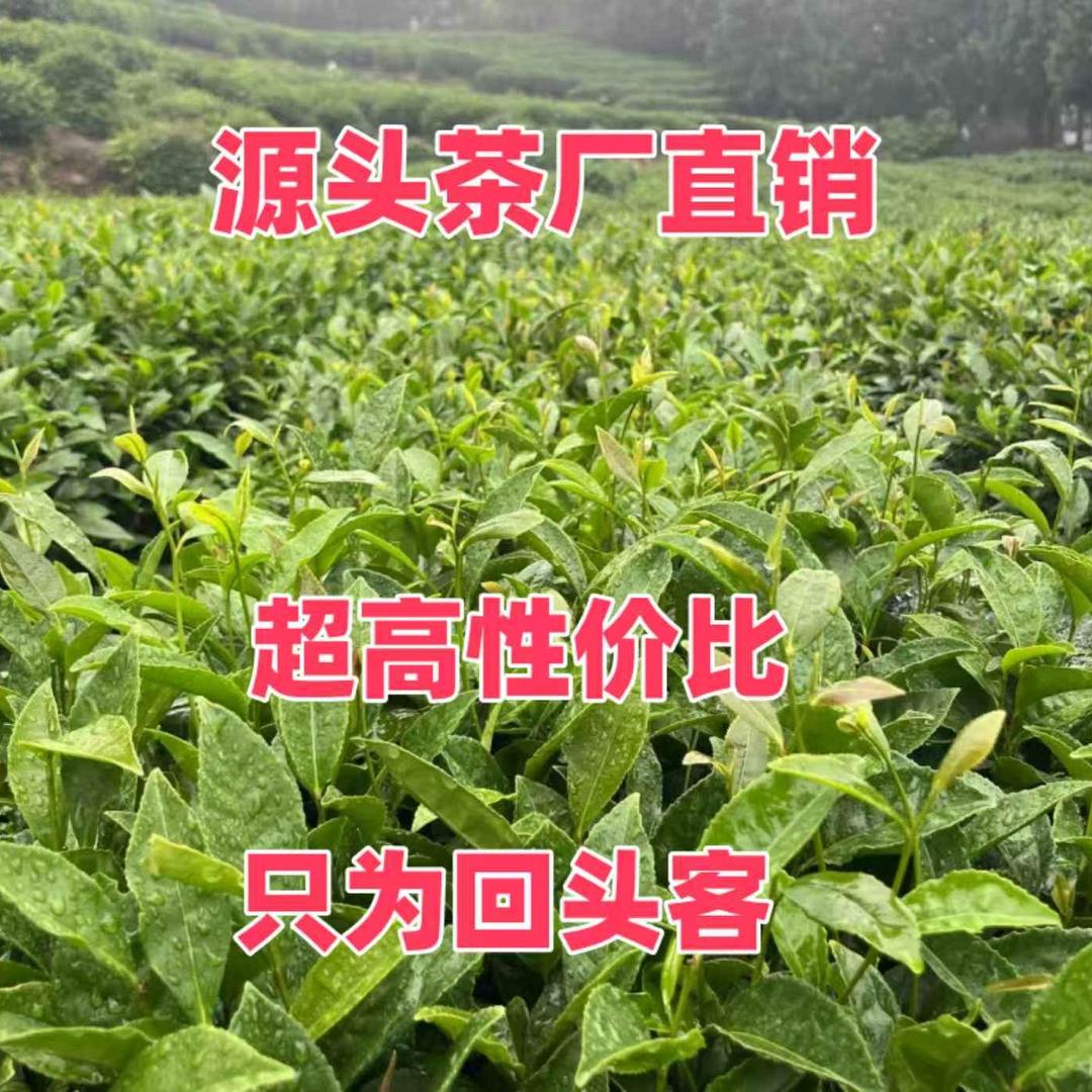 雅安欣雅源茶叶