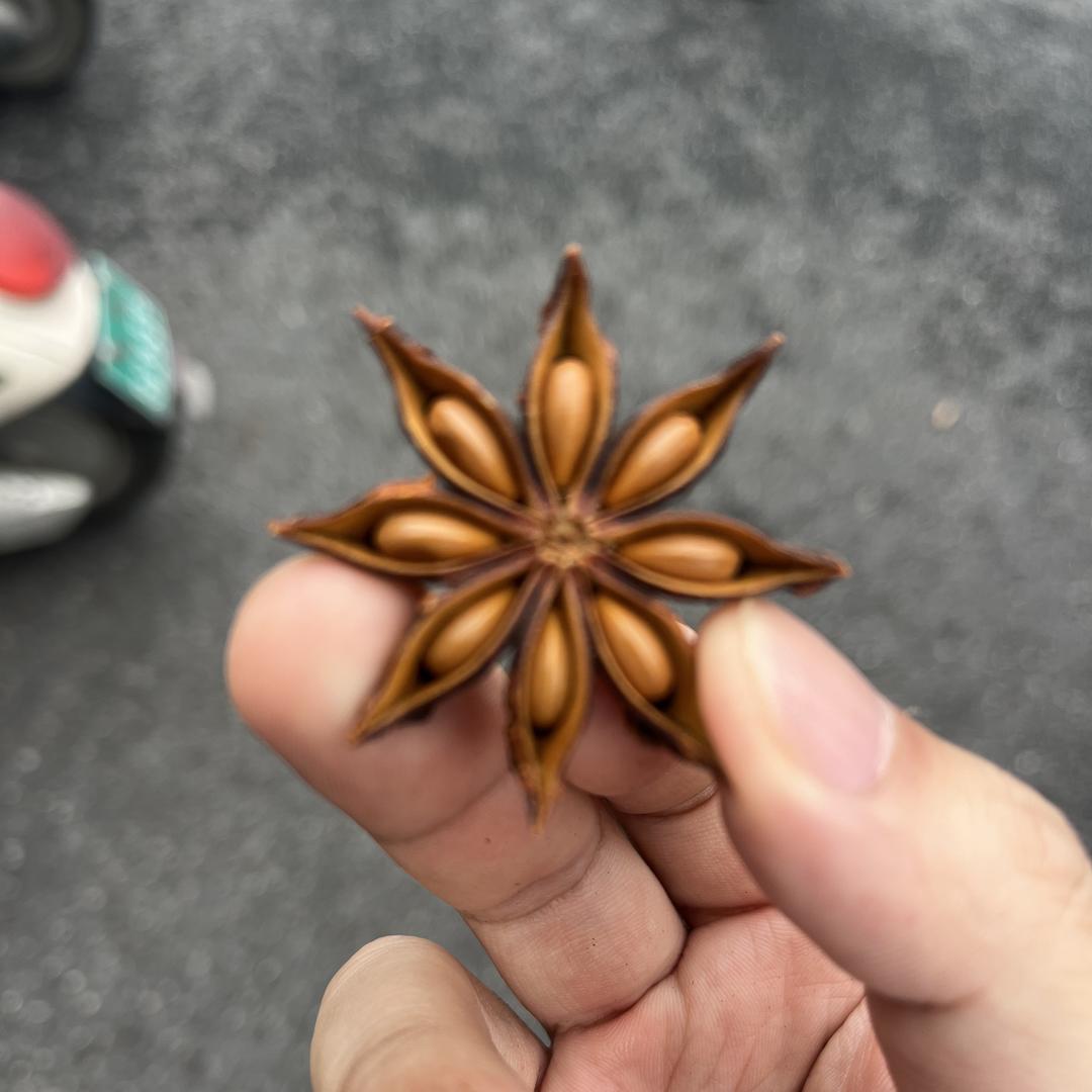 阿木哥滋补优选店