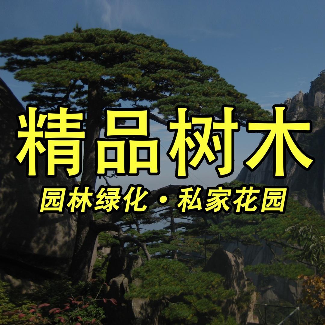 北京水木匠心园林绿化有限公司