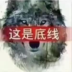 🐺小狼_Auralis
