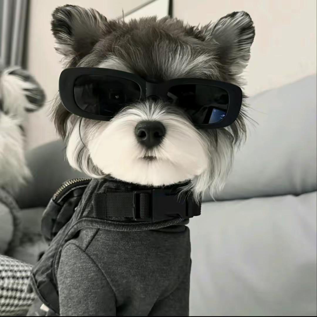 不要给我脸色看