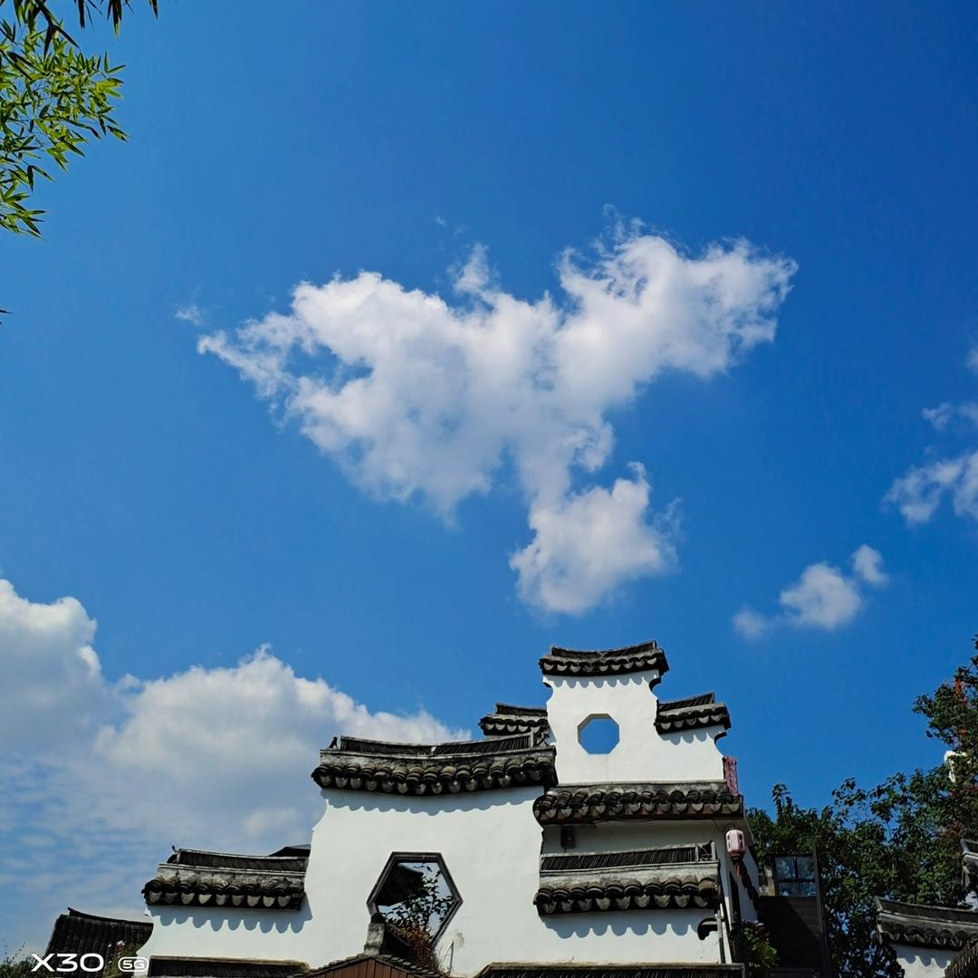 葡萄🍇美酒🍺