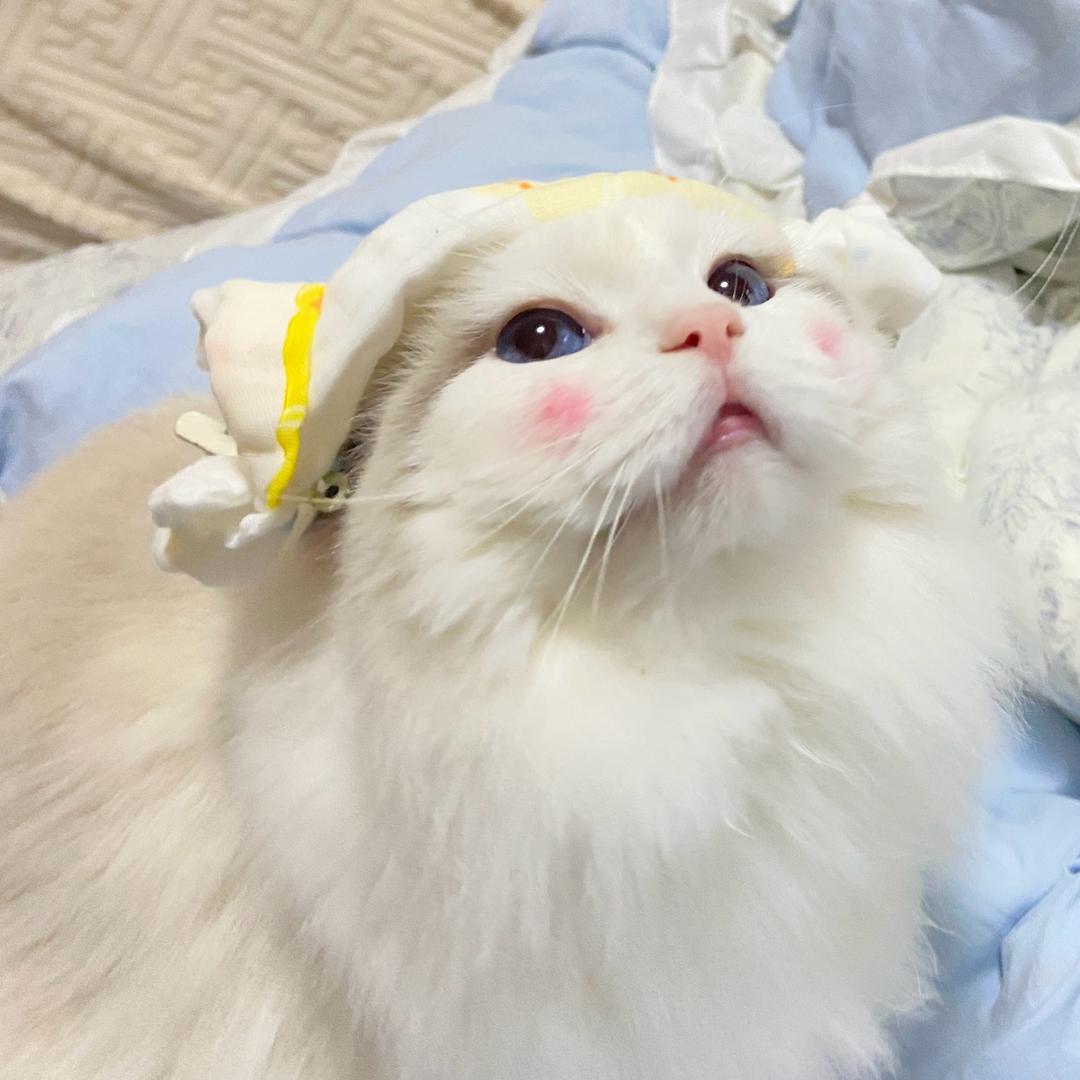 至海港湾小白日记