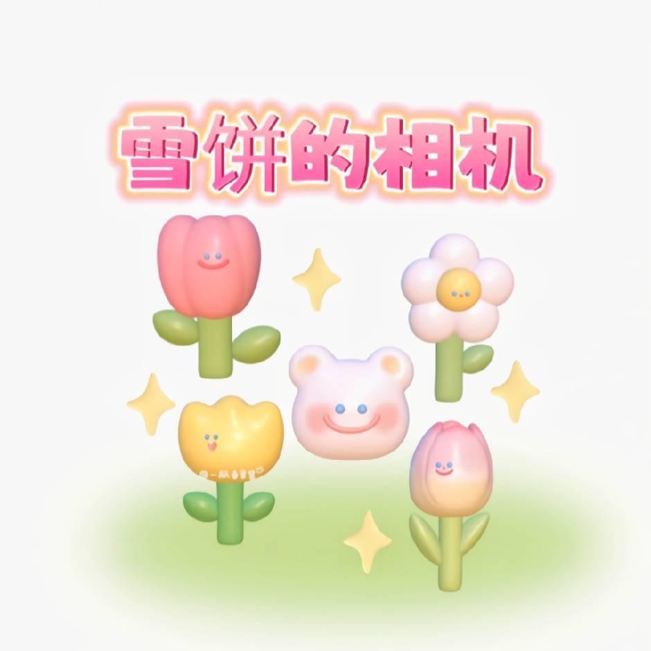 雪饼的相机