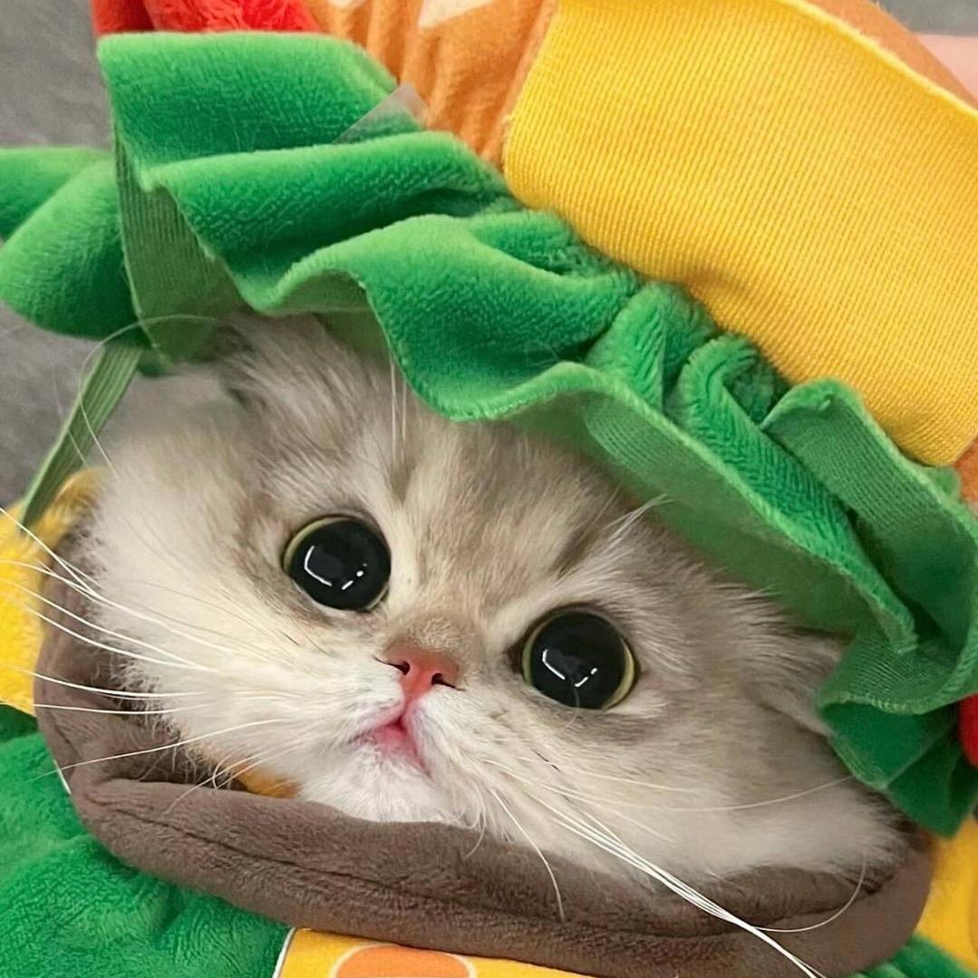 @HuHu～