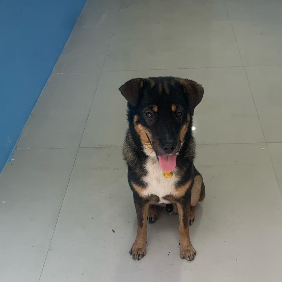 记录生活电器维修