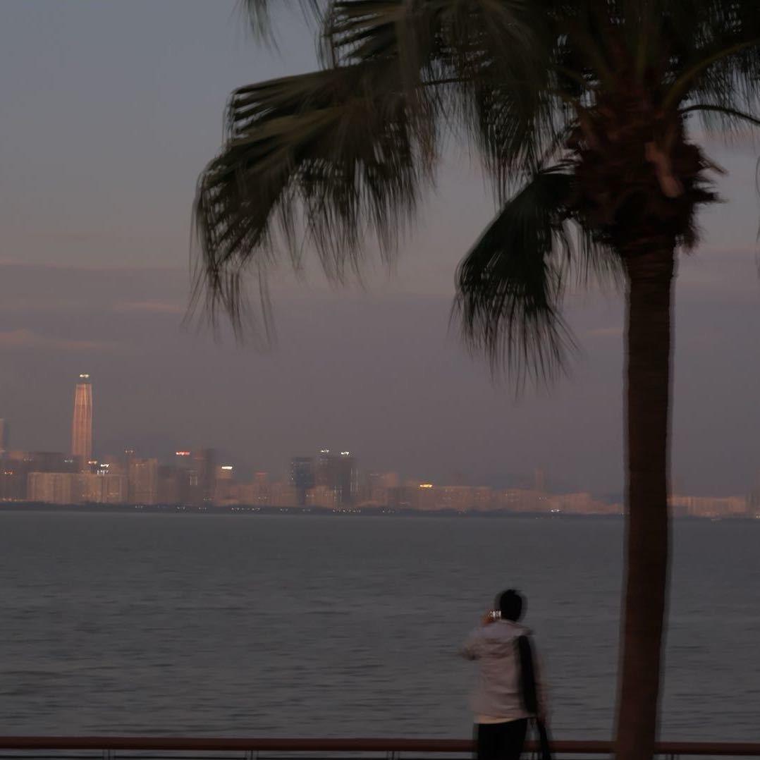 一朵小黄花