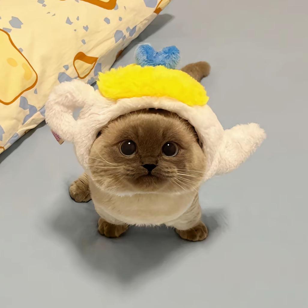 章章不脏脏