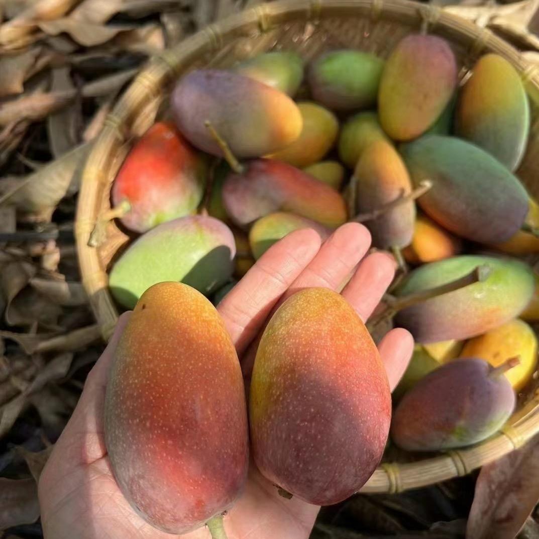 婷娃子农产品小铺