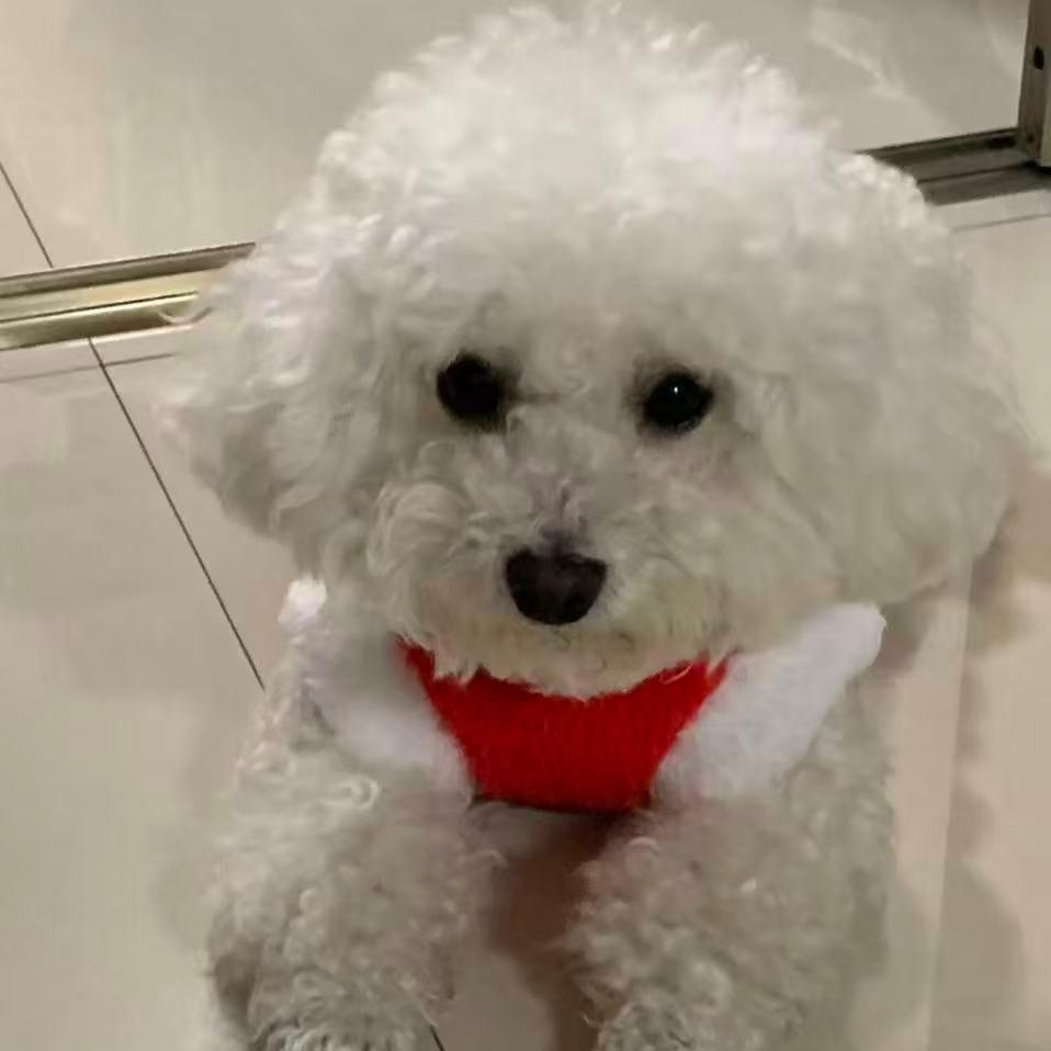 嫂子看花花世界