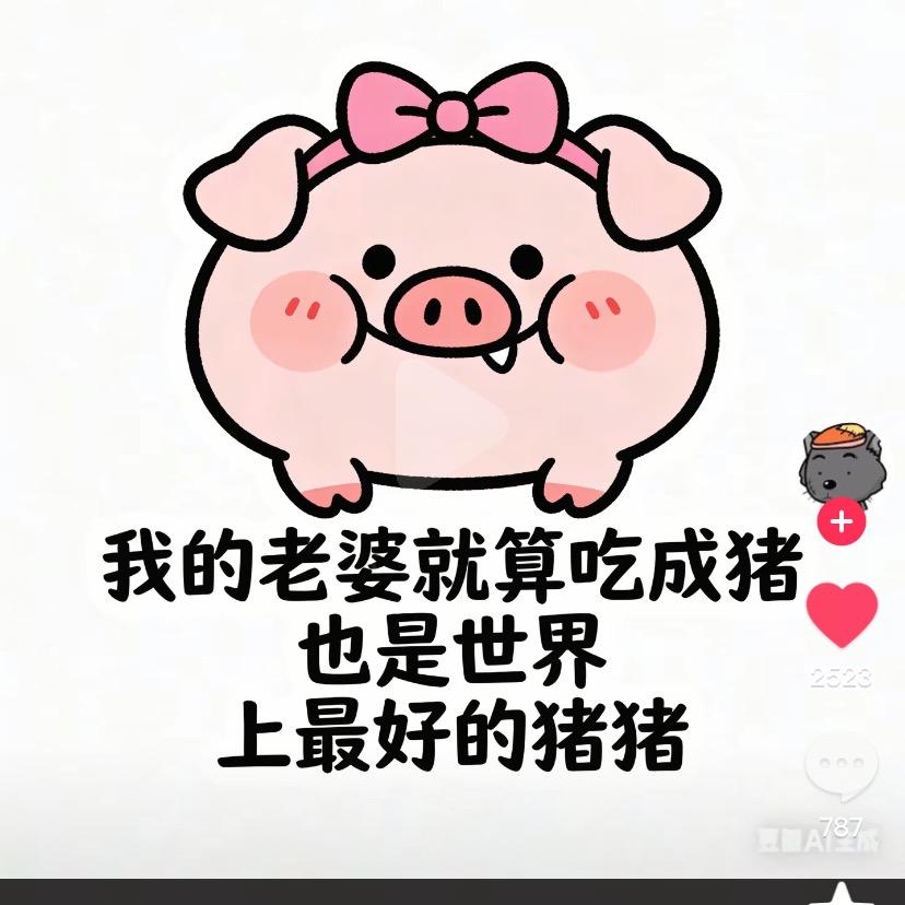 老6洋洋