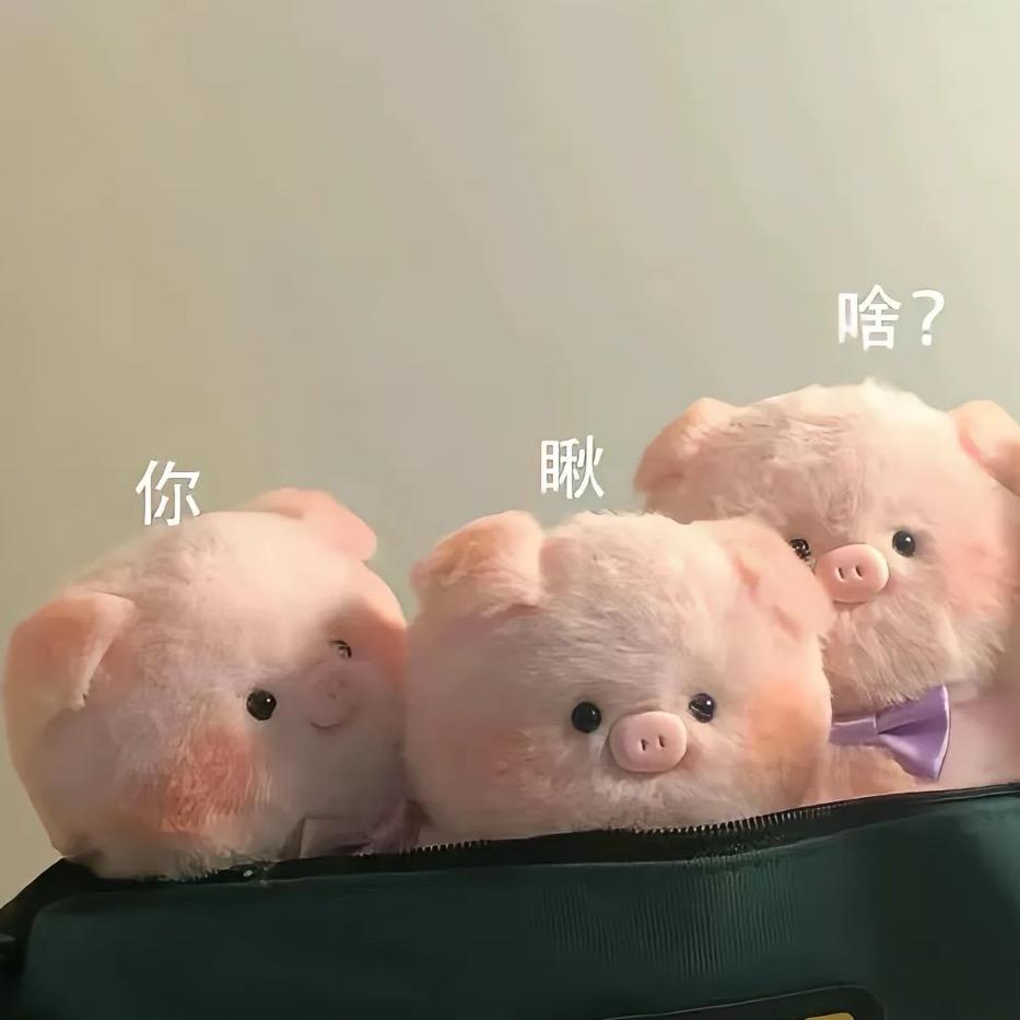 🐖