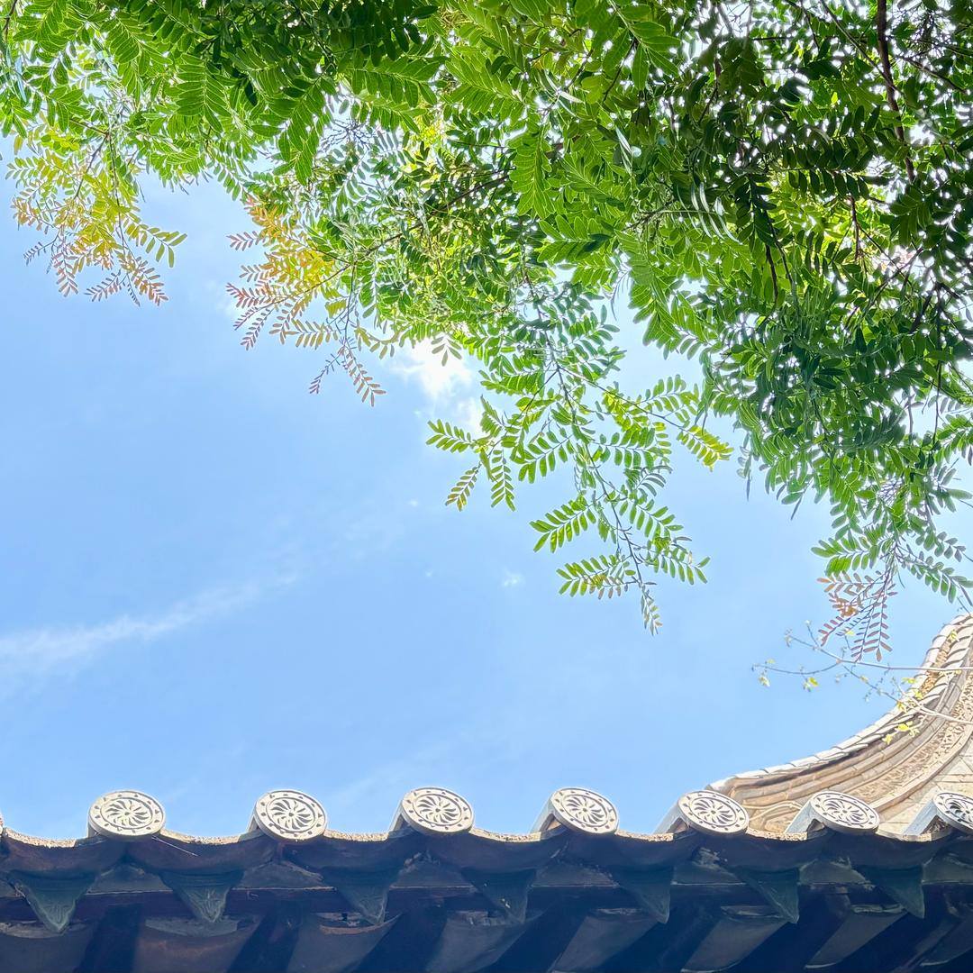 성은염