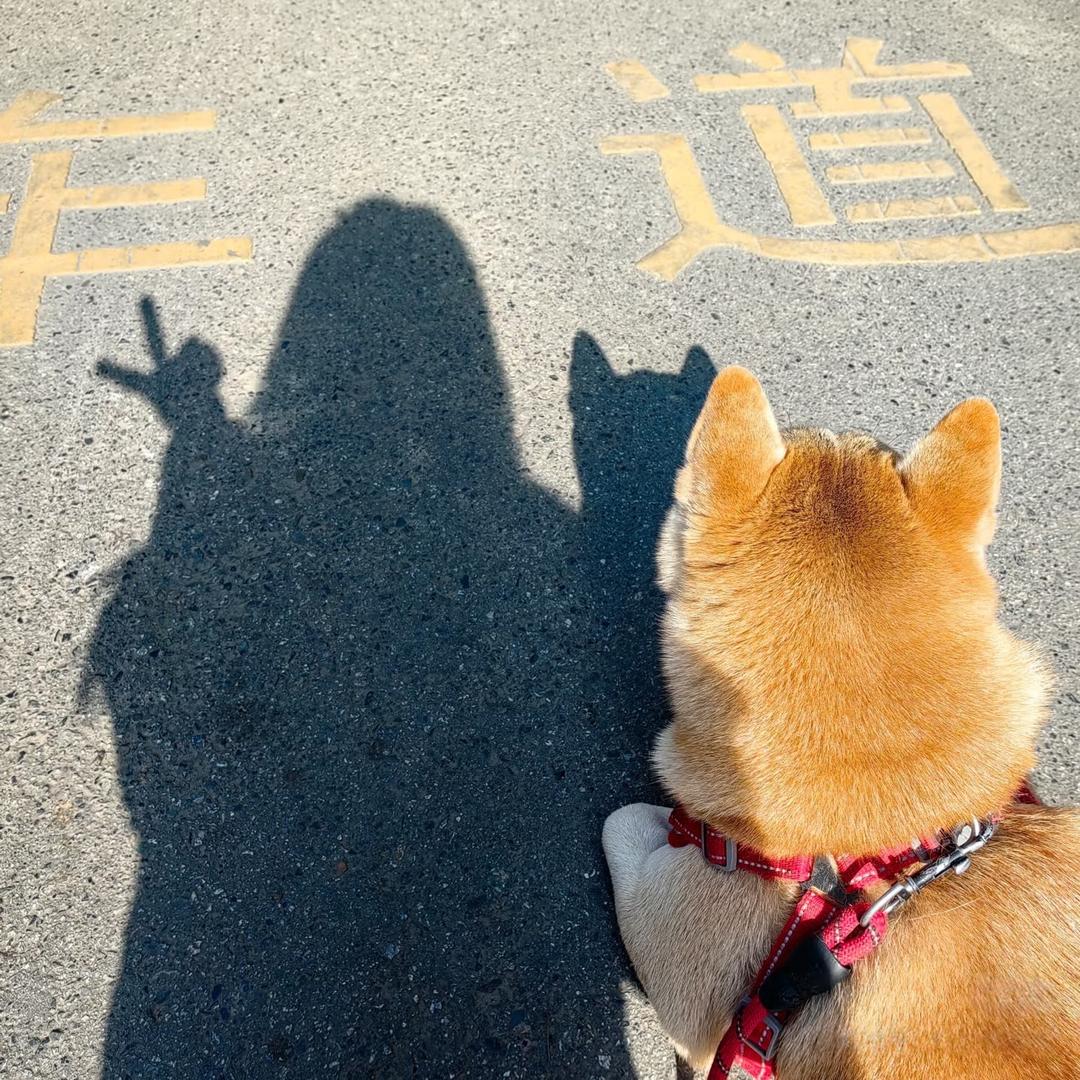 阿瑞斯的星火