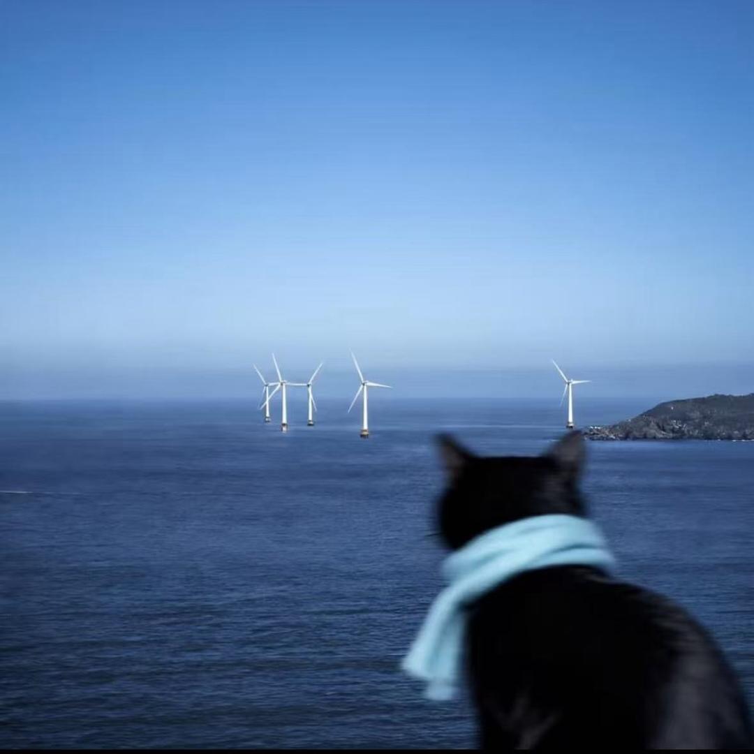 我想知知为知知