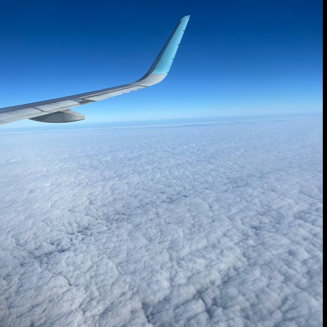 欢迎大家来到林林直播间