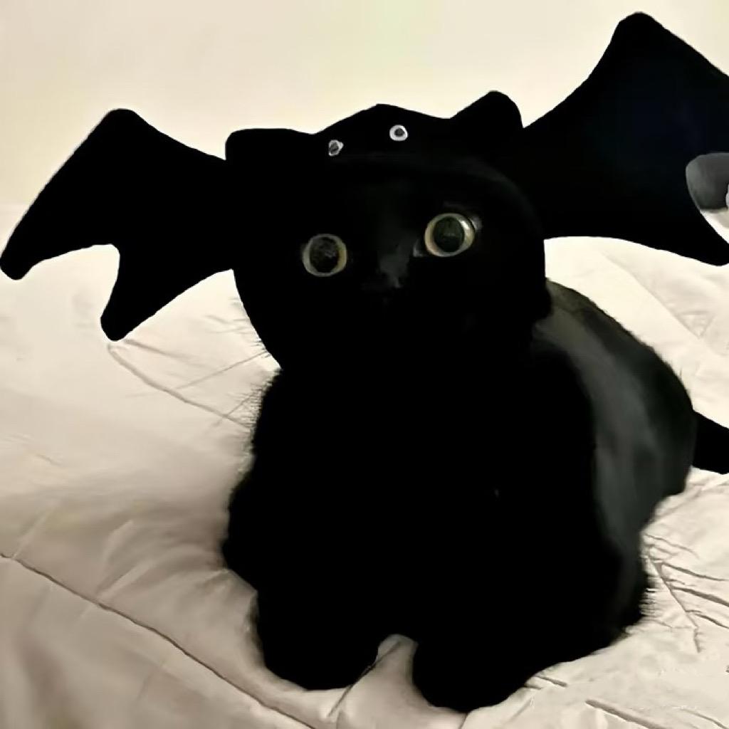 浪花（沉淀沉淀）