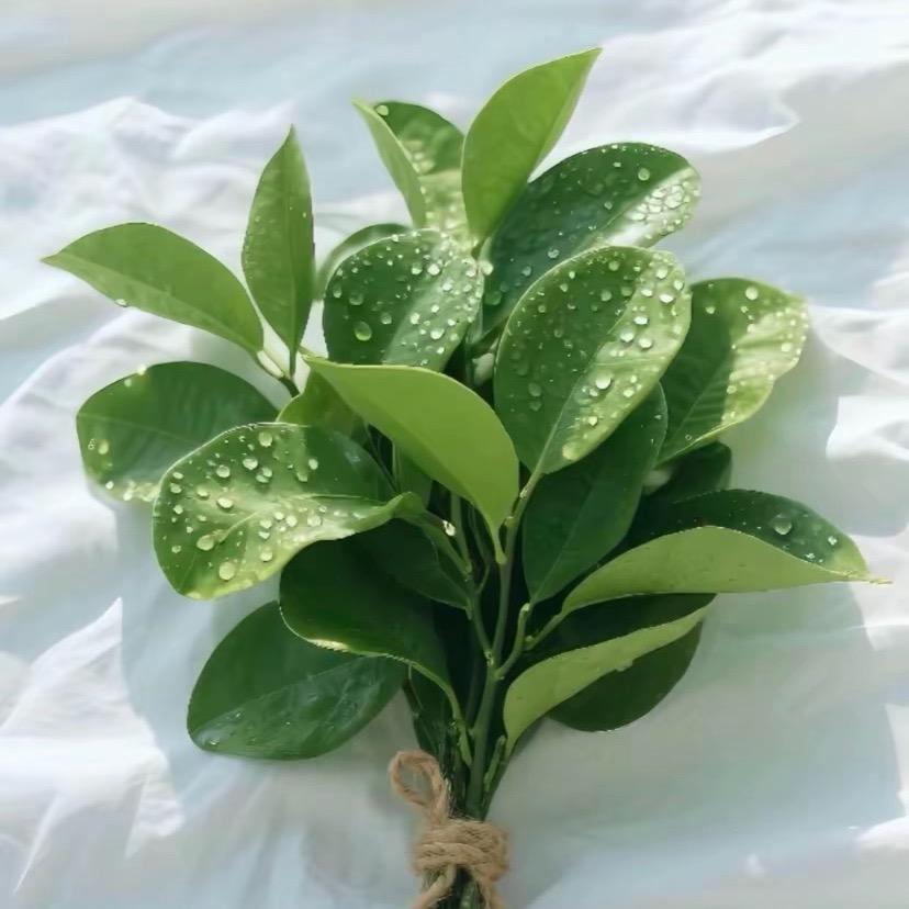 心态越好，人生越顺。