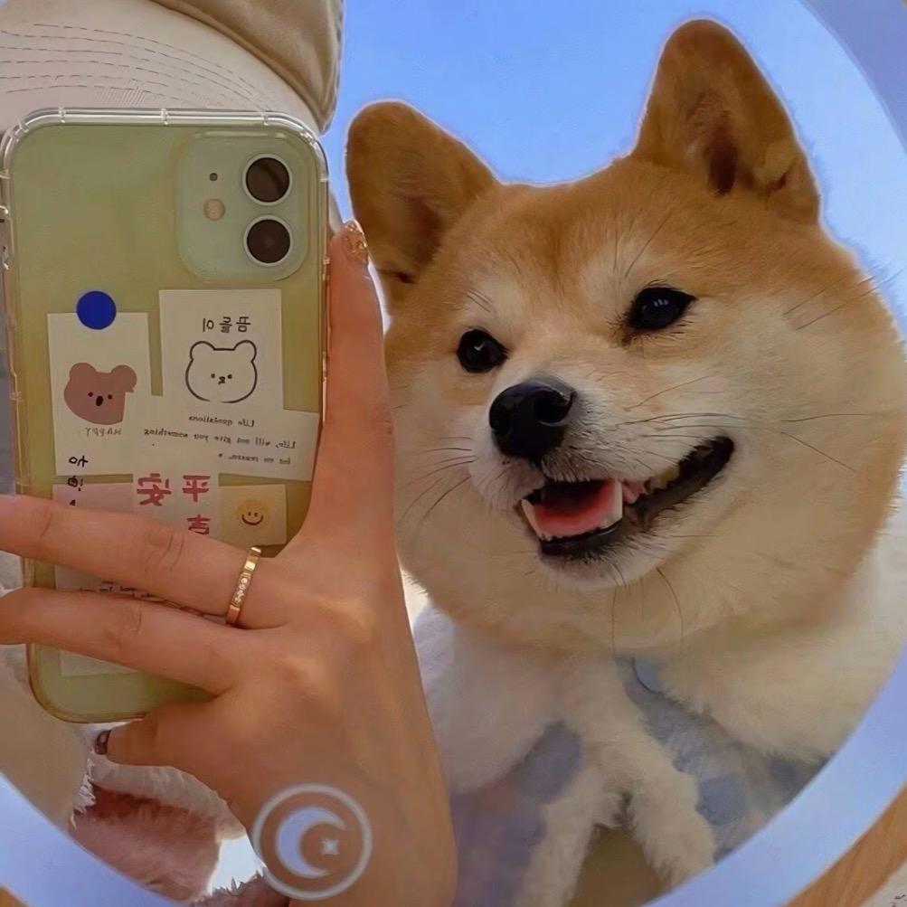 呦呦呦