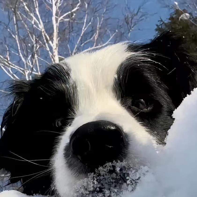 去薯条整点码头
