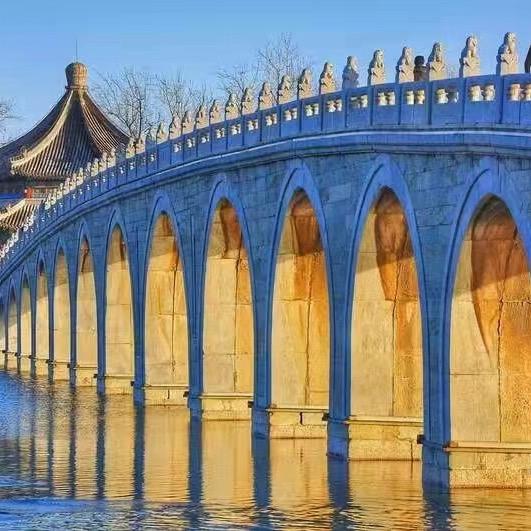 小杨手工