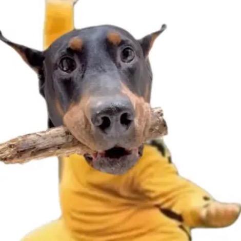 低手（三角洲行动）