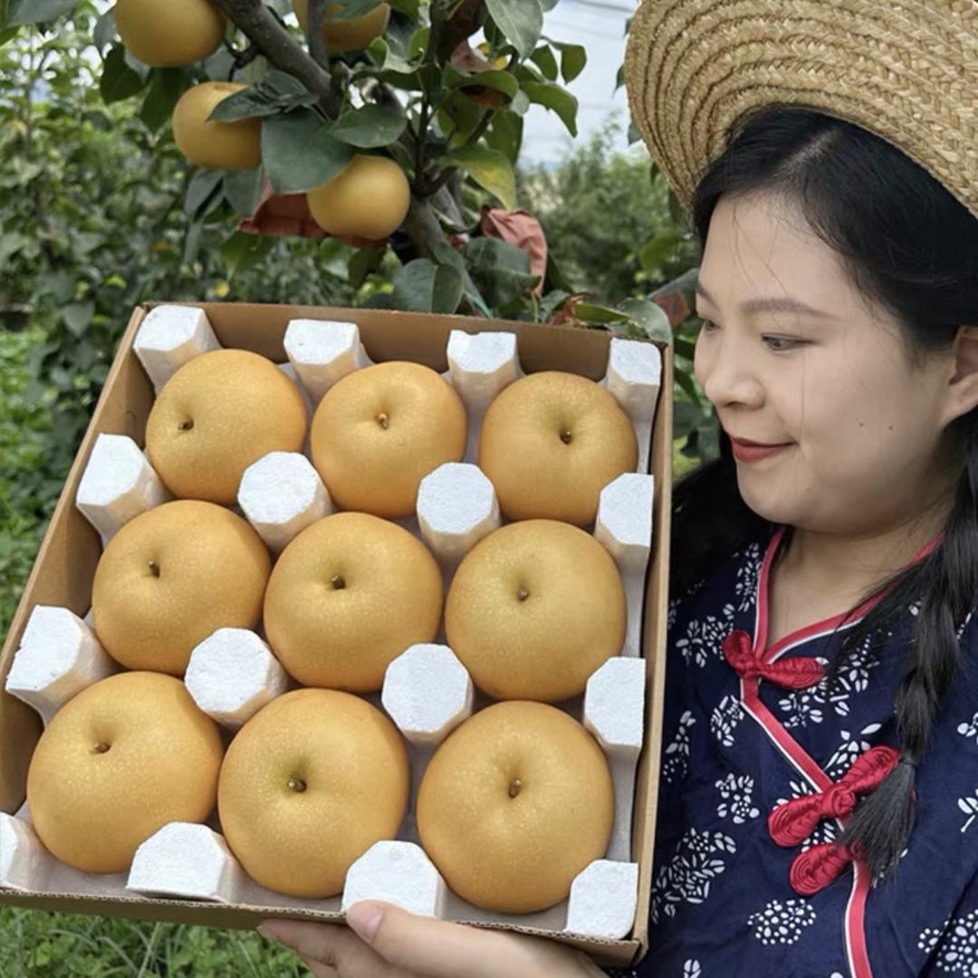 云品农业