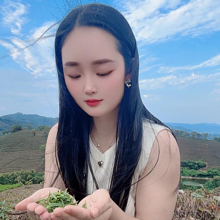 静静高山茶