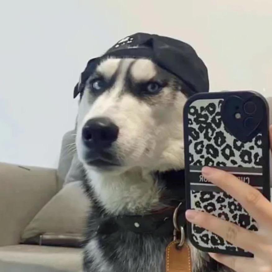 每天都在打瞌睡