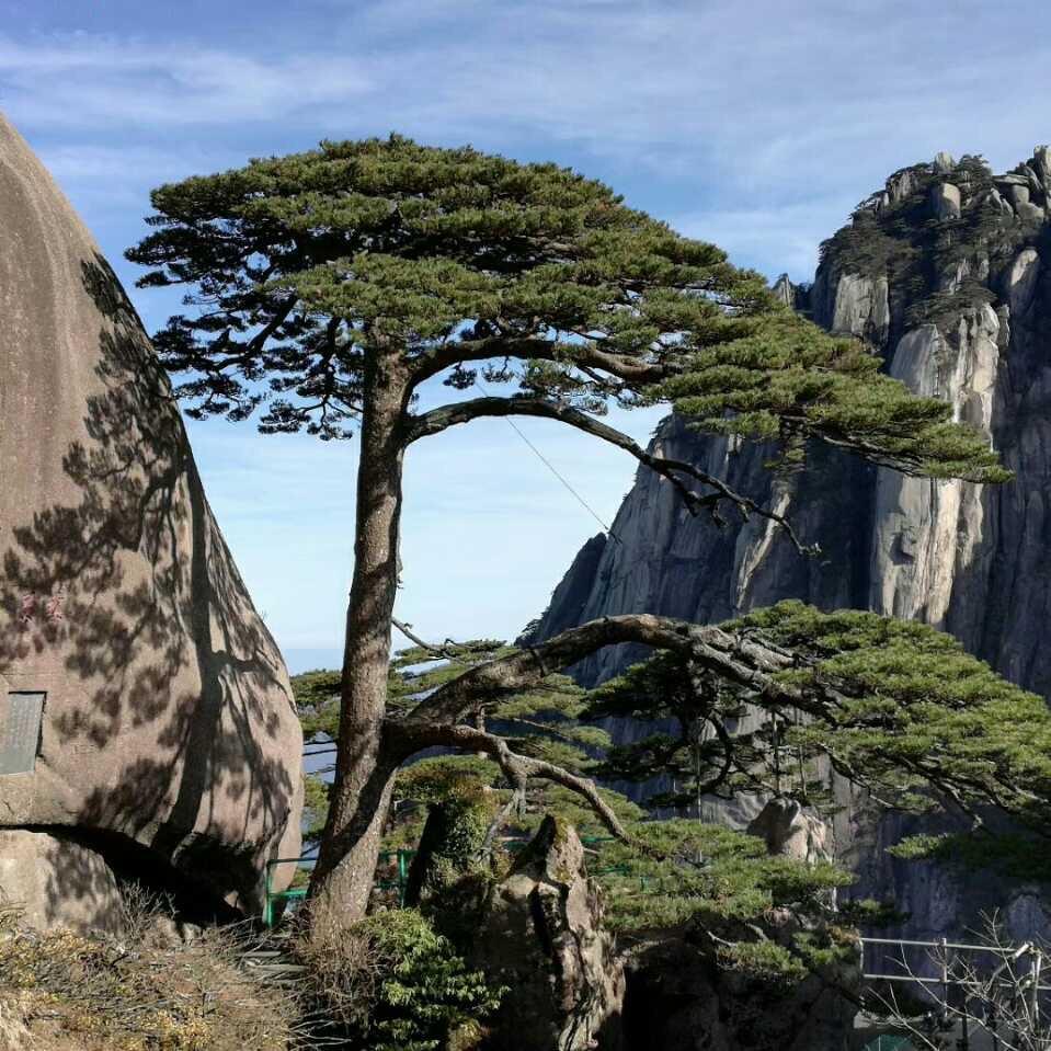 喜欢户外