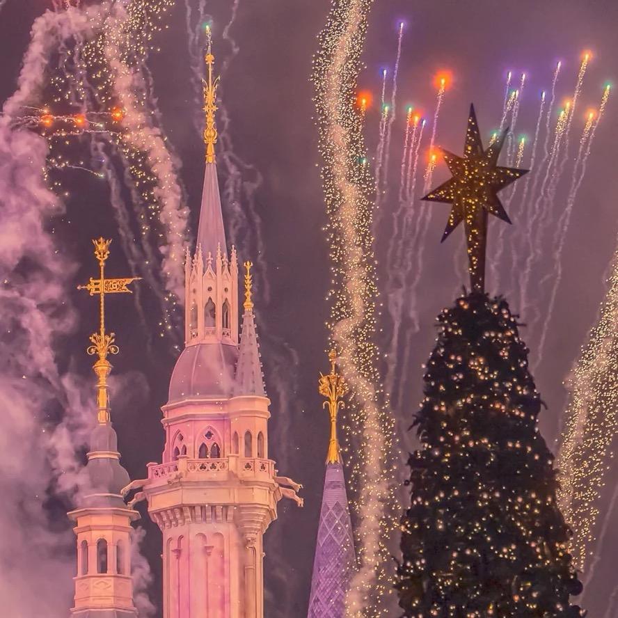 蟹晓枫（好运版）🍀