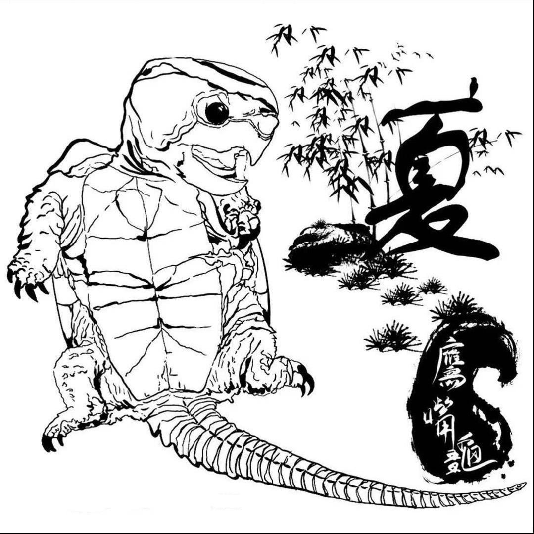 夏天鹰嘴龟