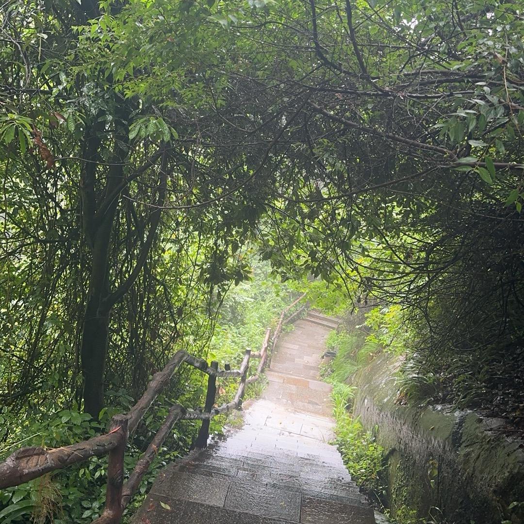 在家里做手工💐