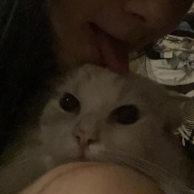 我李解了