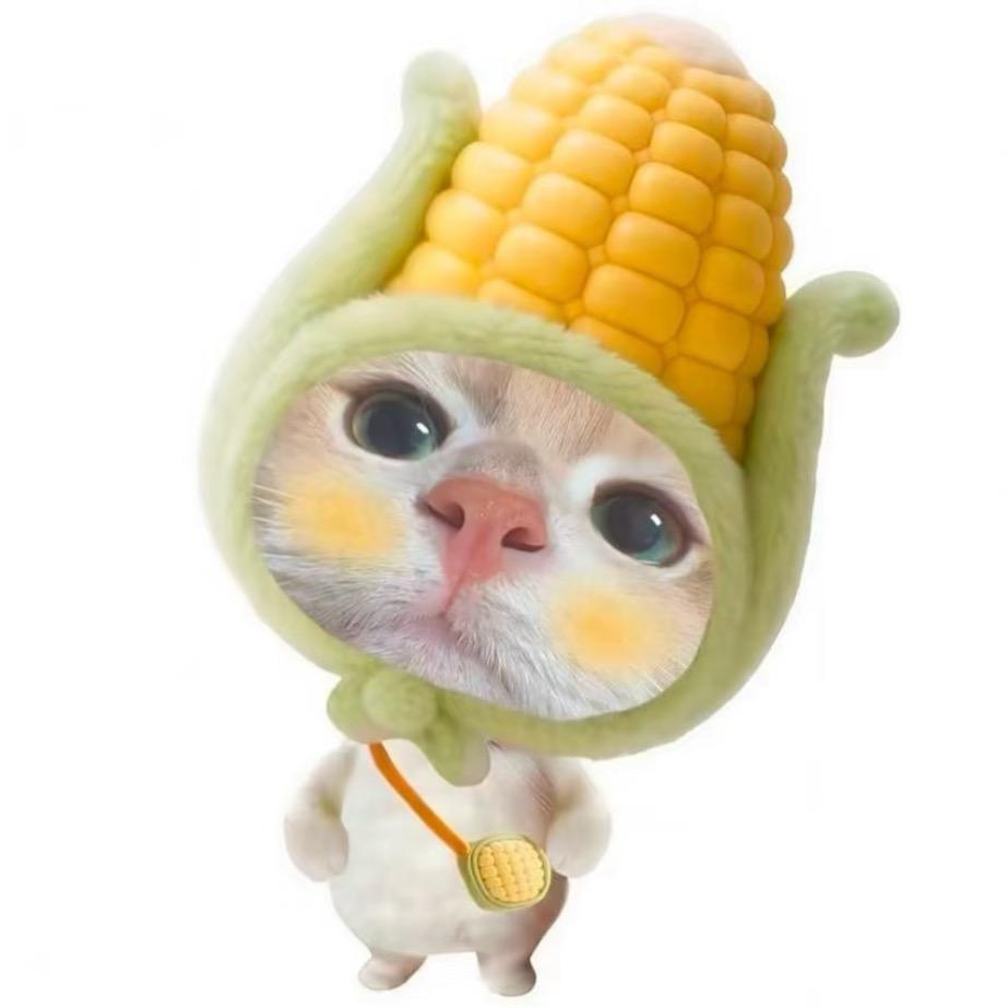 今天雷朋合体了吗