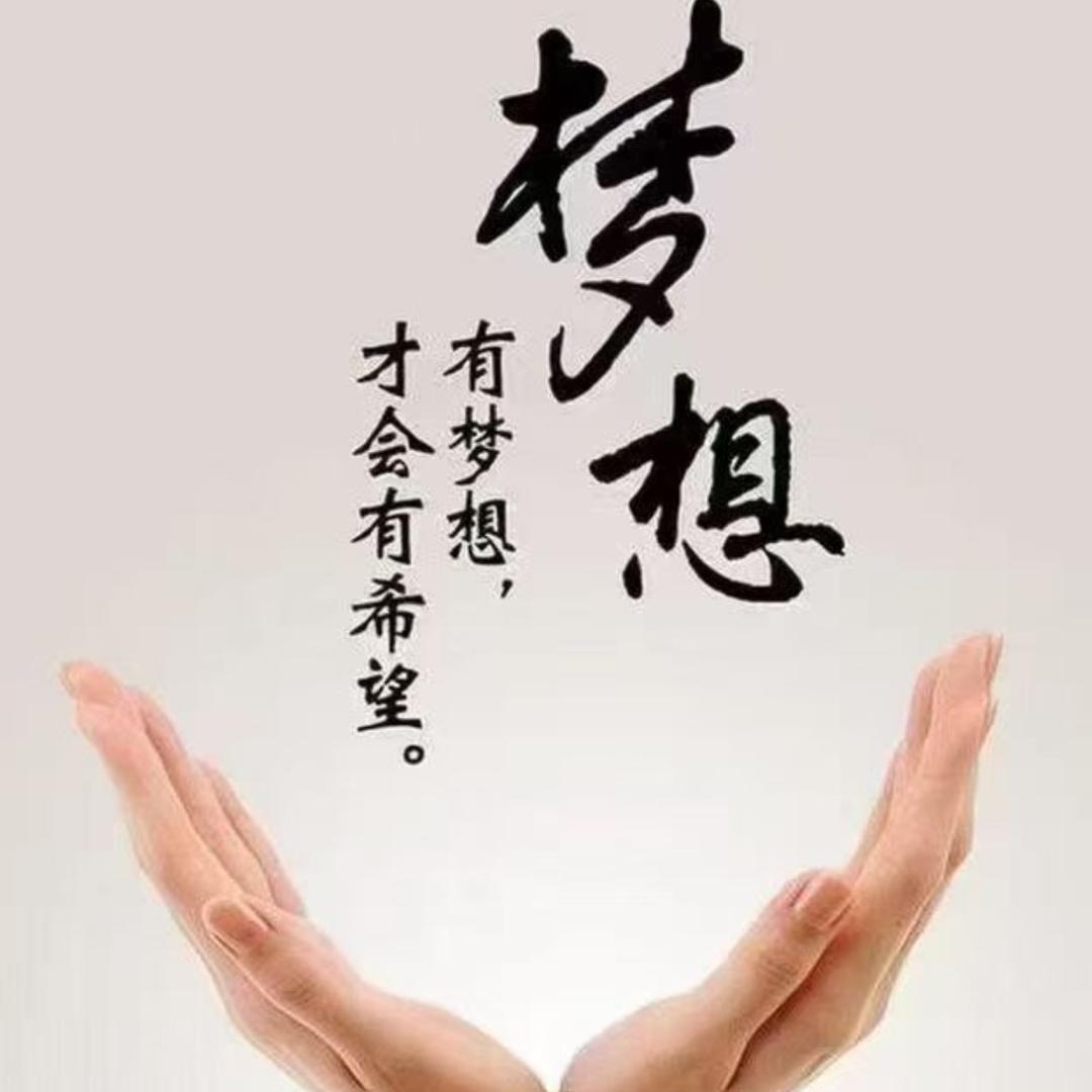 小阳总