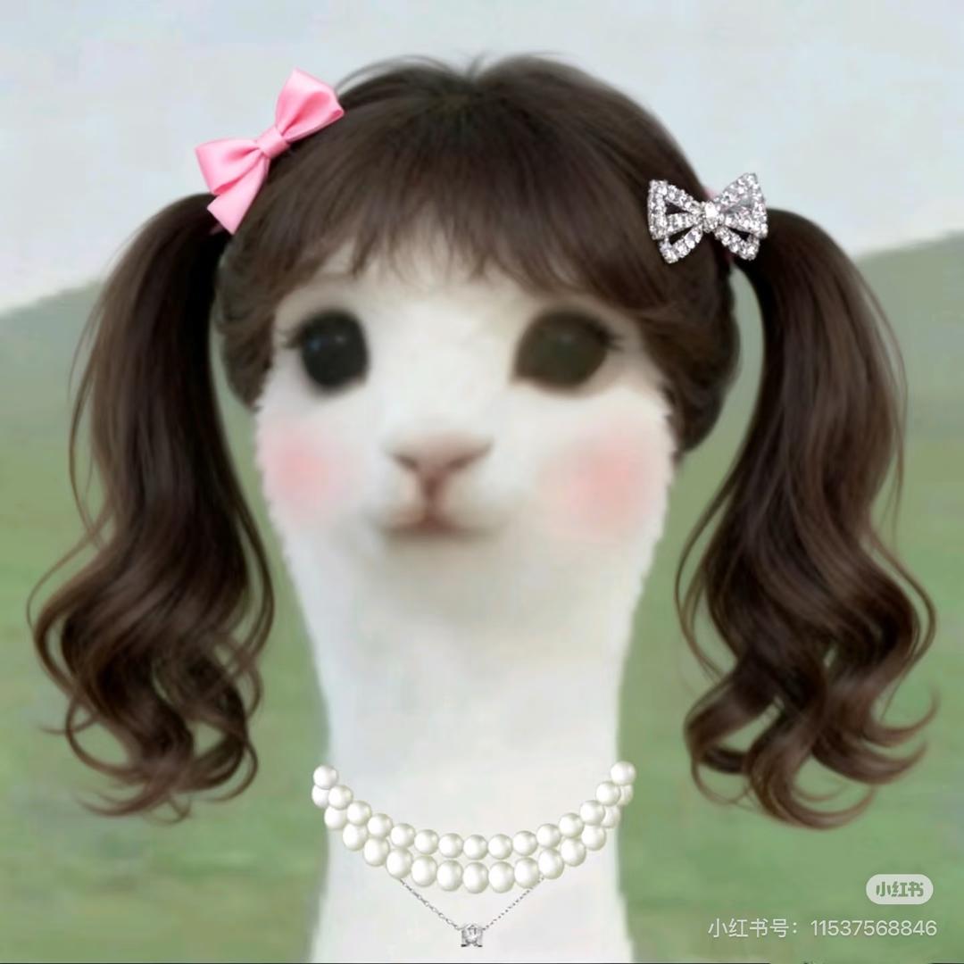 小羊.й