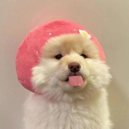 忘川棘🧸🧸
