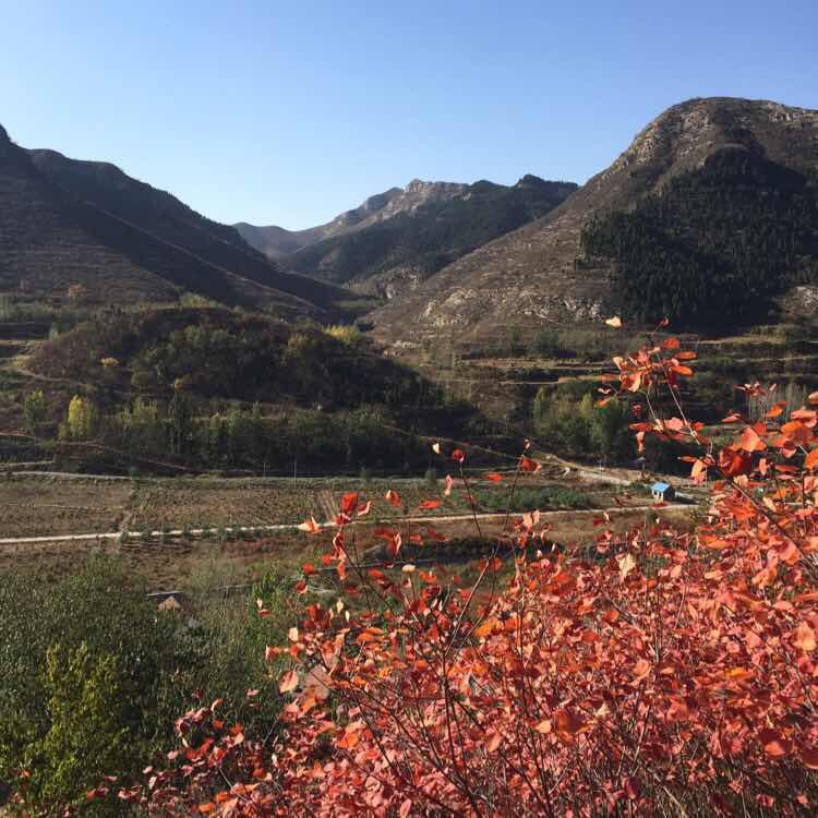 回忆过去