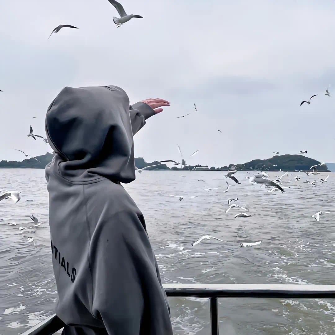 小航在努力