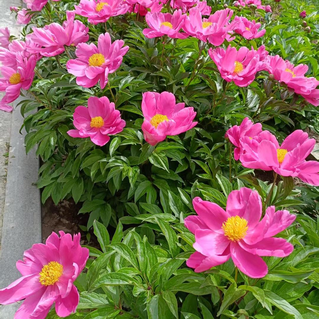 磊滚滚头像