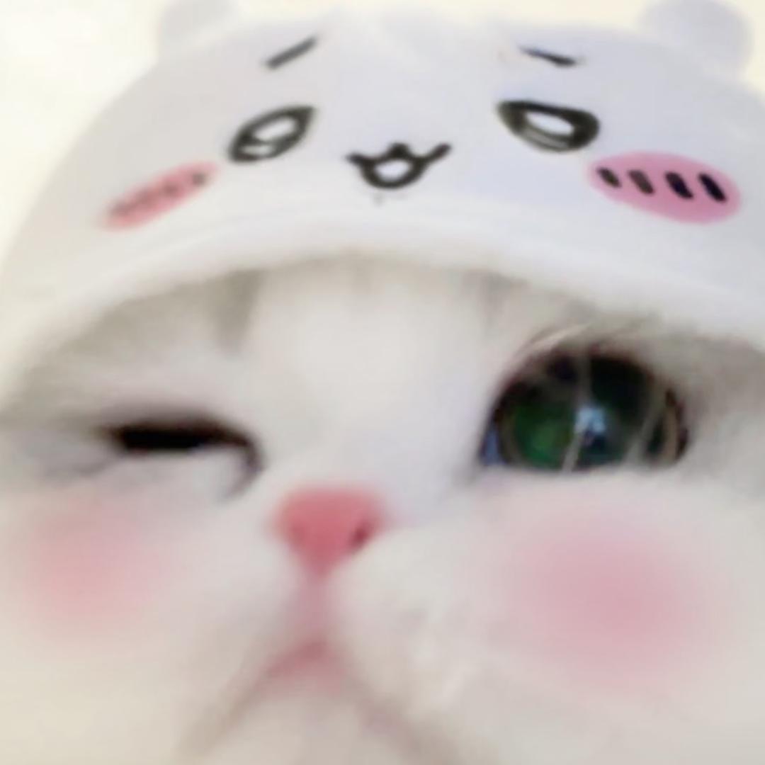 火辣的猪皮妹