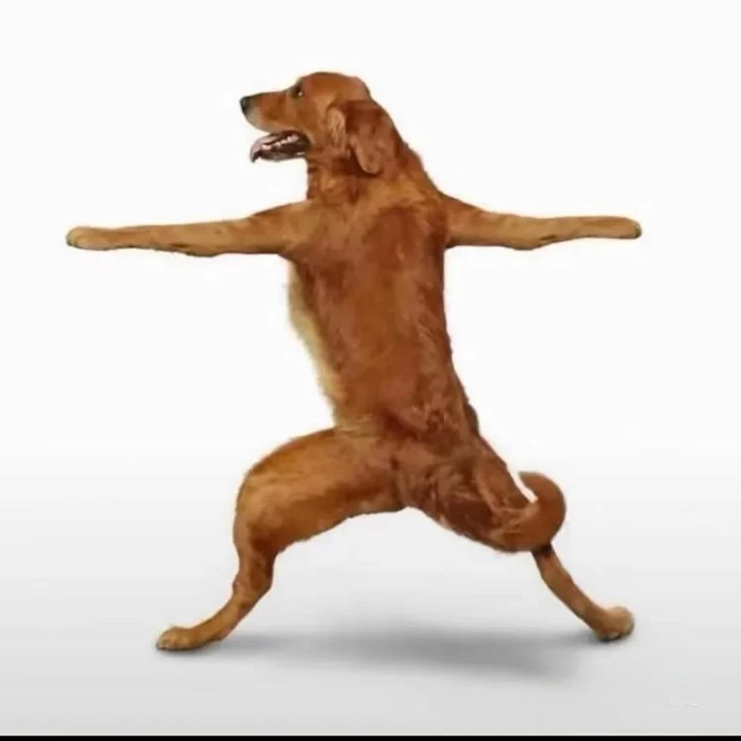 圆滚滚