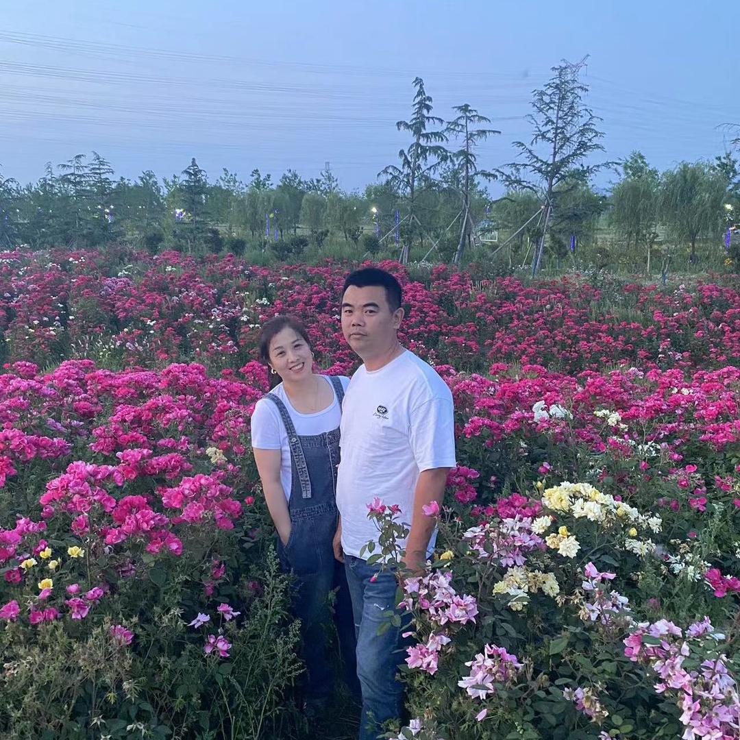 老张家小媳妇