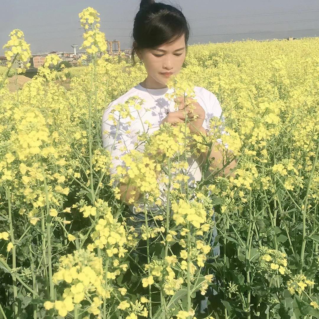 小燕子