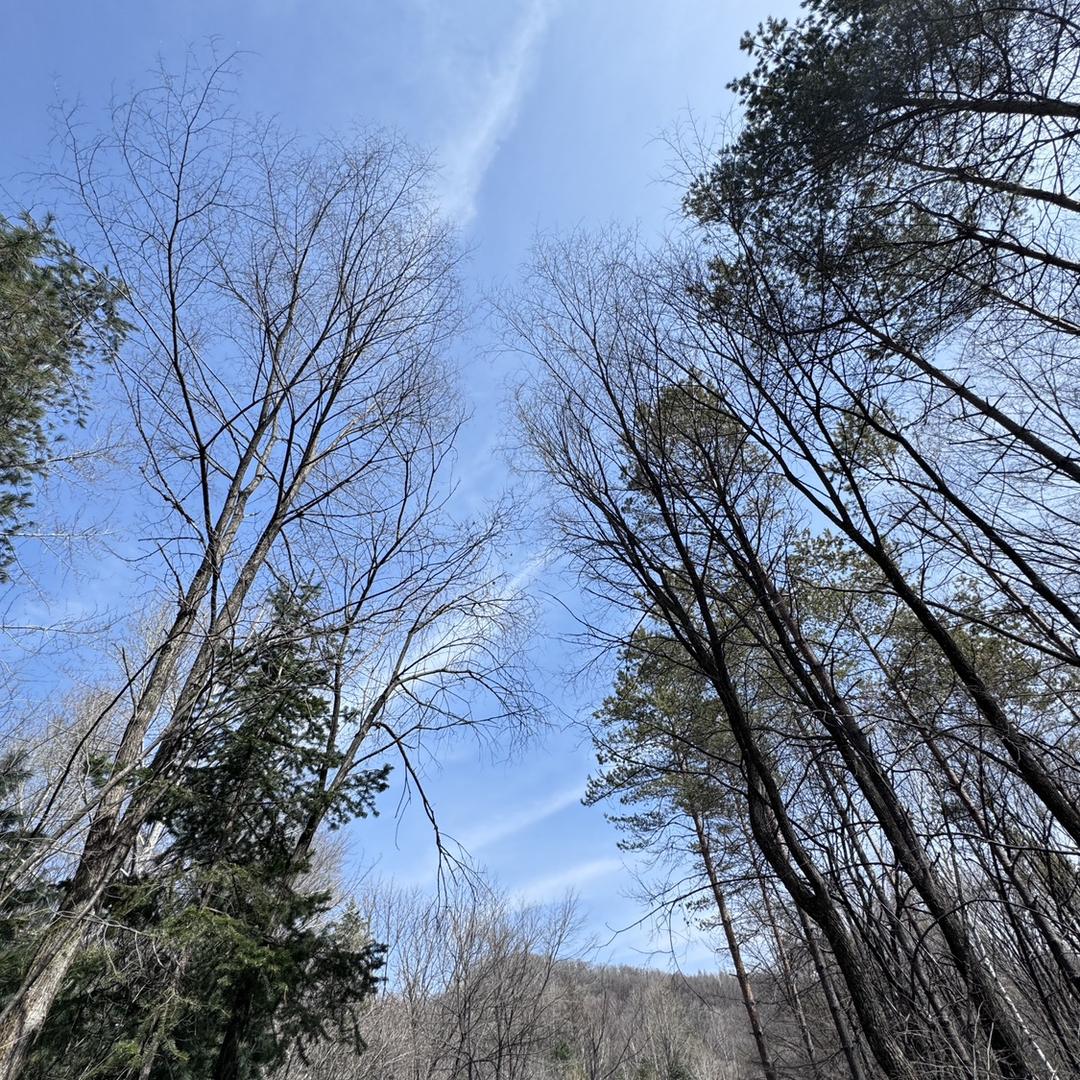 老张-长白山土特产